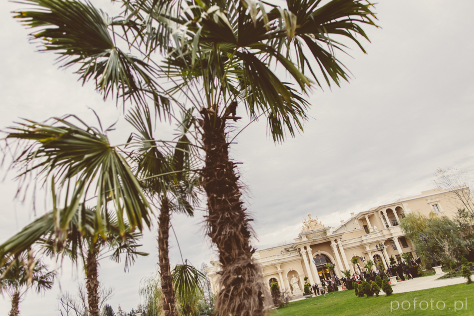 egzotyczne palmy na placu przed salą Venecia Palace